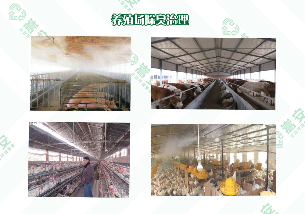 ϳ􄩏SЧQB(yng)ֳζ}I(y)ָρ